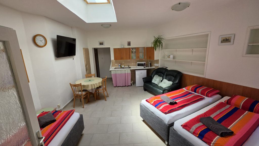 Apartmán s jídelním koutem, gaučem a kuchyňskou linkou